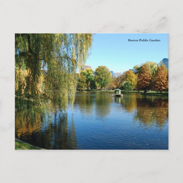 Boston Public Garden Postcard (Front)