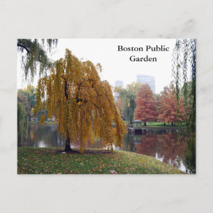 Boston Public Garden Postcard