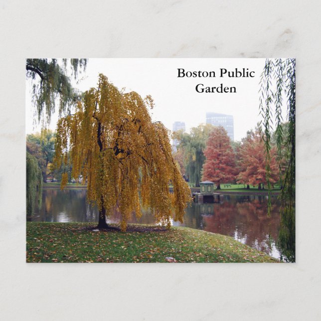 Boston Public Garden Postcard (Front)