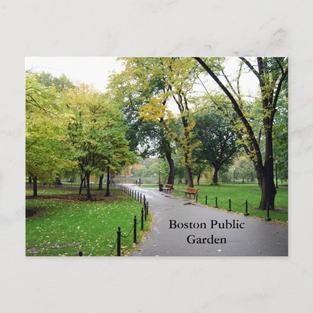 Boston Public Garden Postcard (Front)