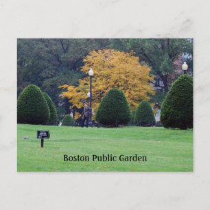 Boston Public Garden Postcard