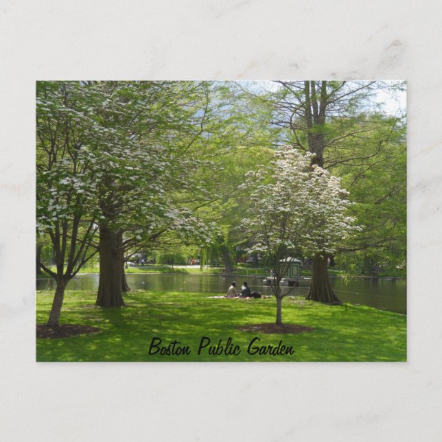 Boston Public Garden Postcard (Front)