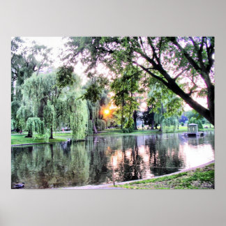 Boston Public Garden Poster