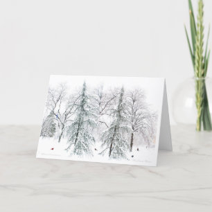 Boston Public Garden:Simple Pleasures of theSeason Holiday Card