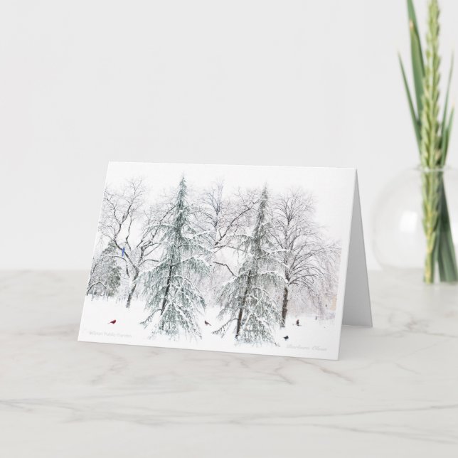 Boston Public Garden:Simple Pleasures of theSeason Holiday Card (Front)