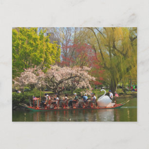 Boston Public Garden Swan Boat in Spring Postcard