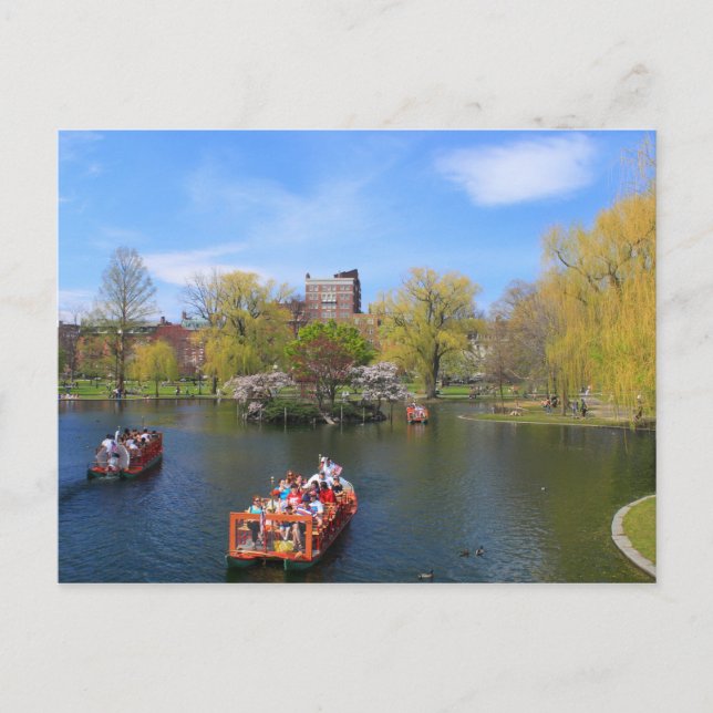 Boston Public Garden Swan Boats in Spring Postcard (Front)