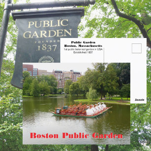 Boston Public Garden Swan Boats Photographic Postcard