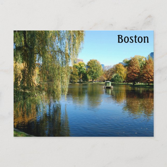 Boston Public Gardens, Massachusetts Postcard (Front)