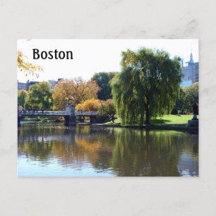 Boston Public Gardens, Massachusetts Postcard