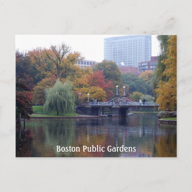 Boston Public Gardens Postcard (Front)