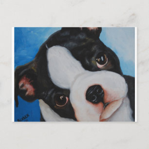 boston pup.jpg postcard