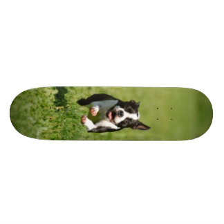 Boston Running Skateboard