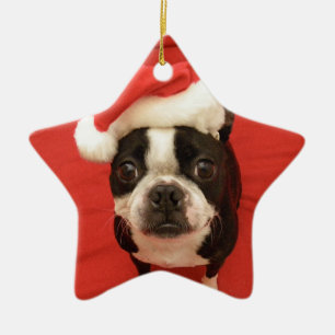 Boston Santa Star Ornament