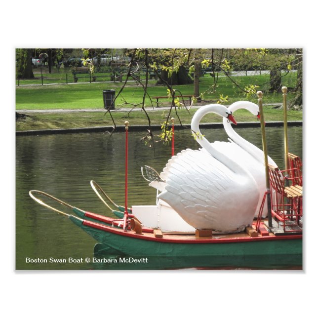 Boston Swan Boat Photo Print (Front)