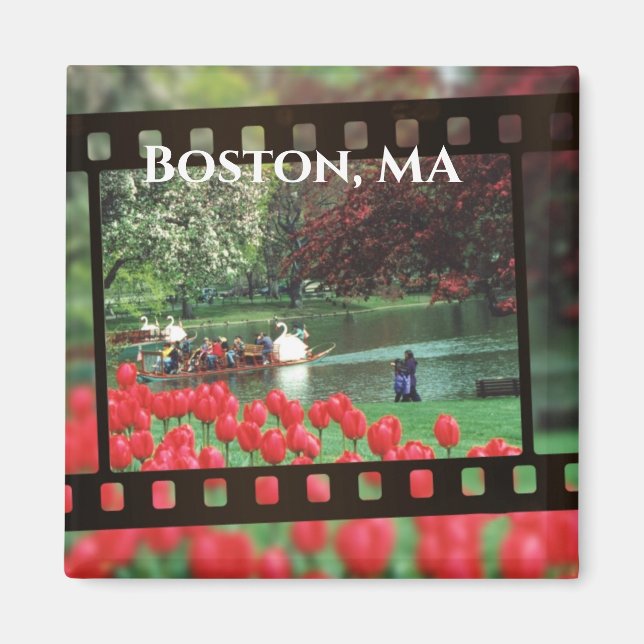 Boston Swan Boats Magnet (Front)