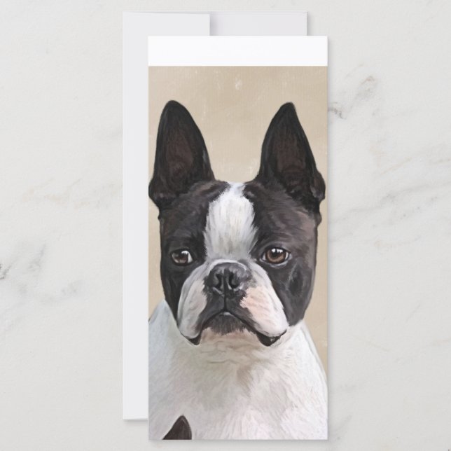 Boston  Terrier (Front)