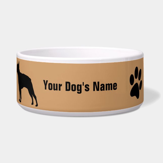 Boston Terrier ボストン・テリア (Front)