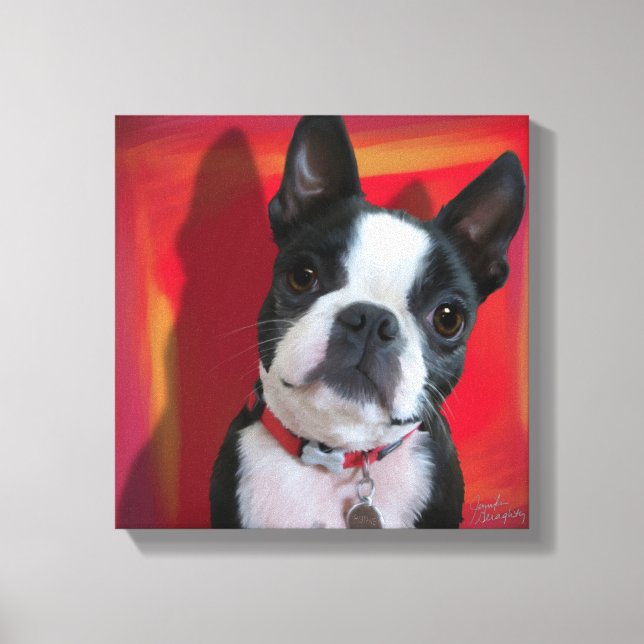 Boston Terrier 12x12 stretched canvas (Front)