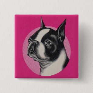 Boston terrier 15 cm square badge