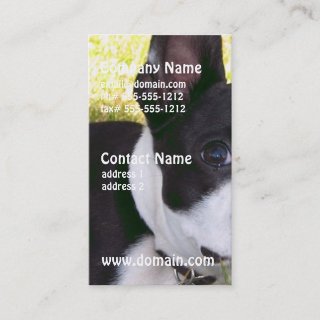 boston-terrier-1 business card (Front)