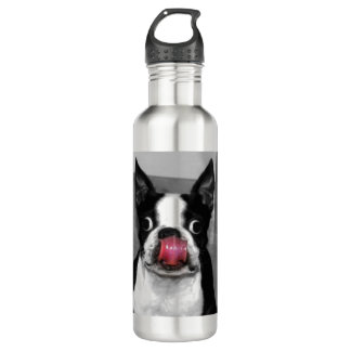 Boston Terrier 710 Ml Water Bottle