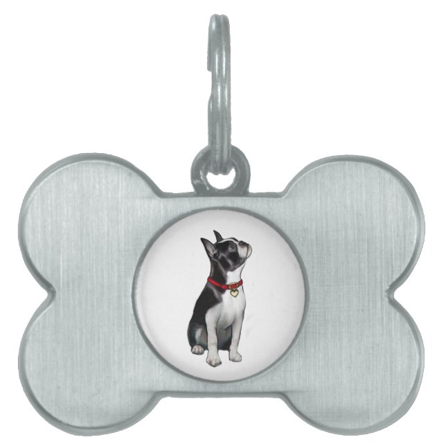 Boston Terrier (A) - looking up Pet Name Tag (Front)