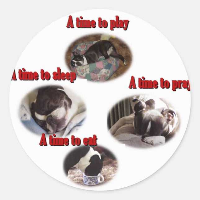 Boston Terrier:  A Time Classic Round Sticker (Front)