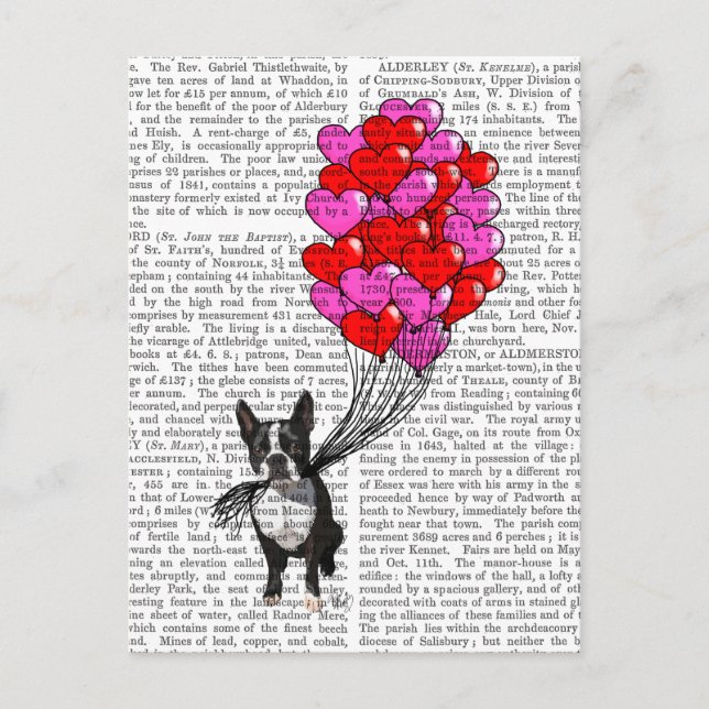 Boston Terrier And Balloons Postcard (Front)