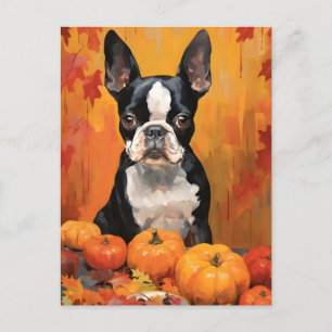 Boston Terrier Autumn Thanksgiving Postcard