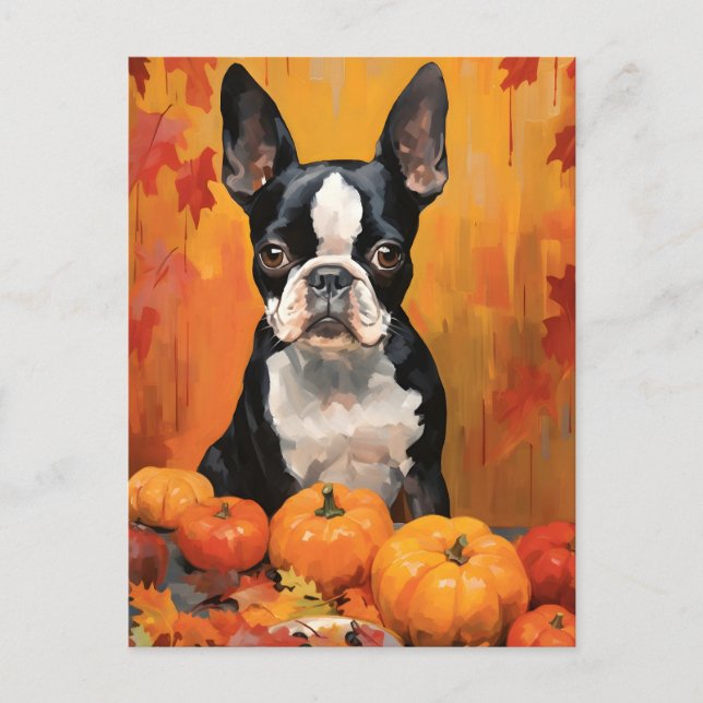 Boston Terrier Autumn Thanksgiving  Postcard (Front)