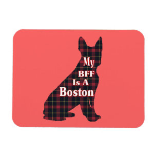Boston Terrier BFF Magnet