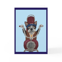 Boston Terrier Biker on motorcycle