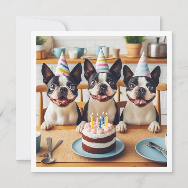 Boston Terrier birthday card, Boston terrier  Invitation (Front)