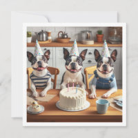 Boston Terrier birthday card, Boston terrier