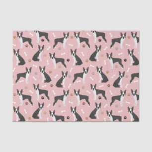 Boston Terrier Bones and Paws Tissue Paper