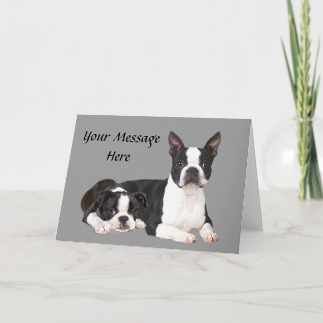 Boston Terrier Buddies Greeting Card (Front)