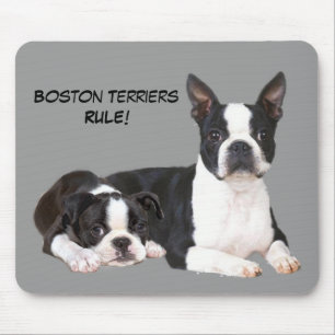 Boston Terrier Buddies Mousepad