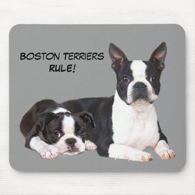 Boston Terrier Buddies Mousepad (Front)