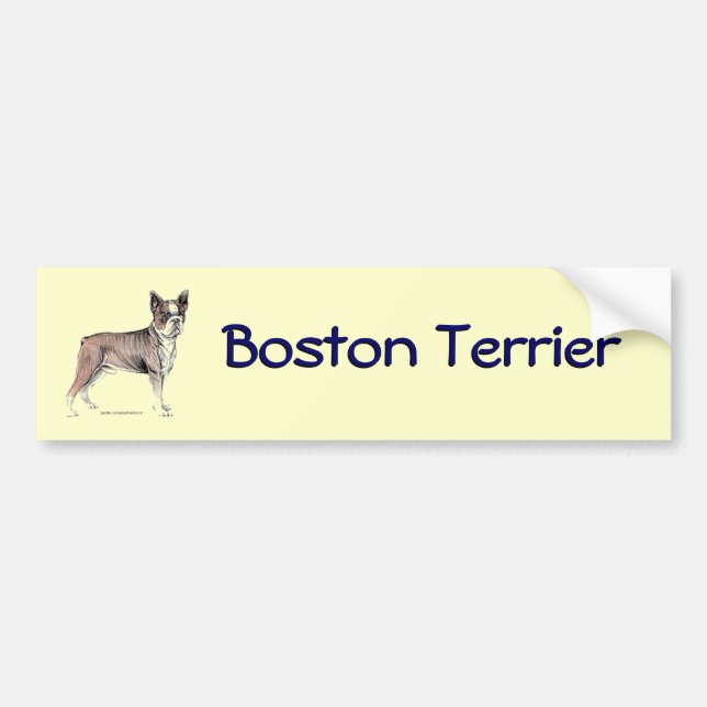 Boston Terrier Bumper Sticker (Front)