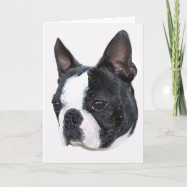 Boston Terrier Card (Front)
