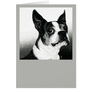 Boston Terrier Card - "Boston Style"