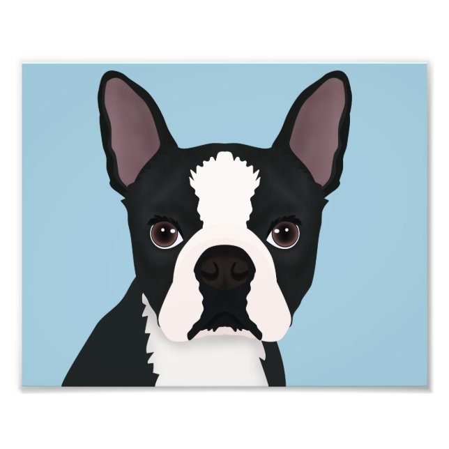 boston terrier cartoon photo print (Front)