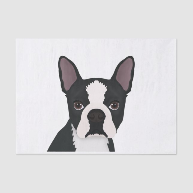 boston terrier cartoon tissue paper (Front)