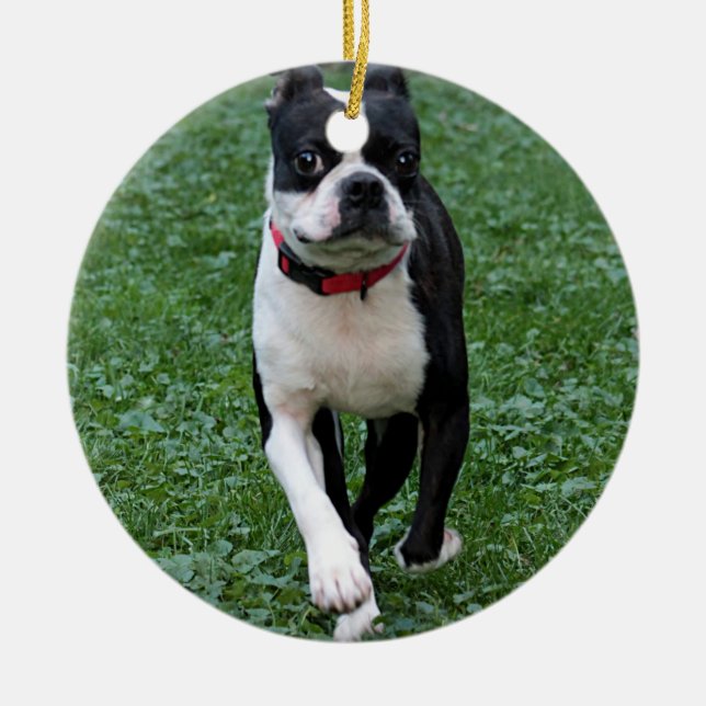 Boston terrier ceramic tree decoration (Front)