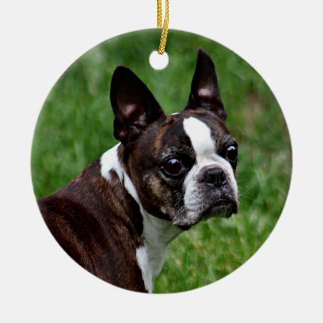 Boston terrier ceramic tree decoration (Front)