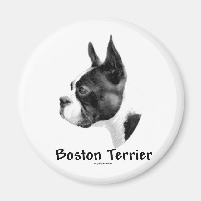 Boston Terrier Charcoal 2 - Magnet (Front)