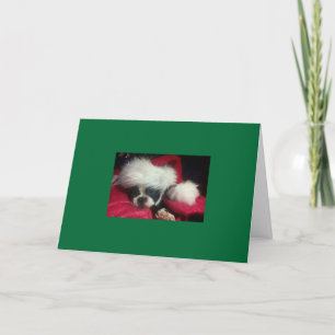 Boston Terrier Christmas Card