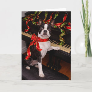 Boston Terrier Christmas Card – Festive Holiday
