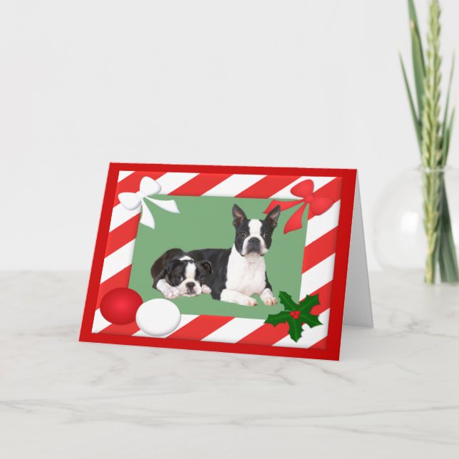 Boston Terrier Christmas Card Frame (Front)